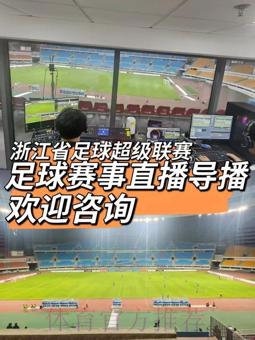 2008年世界杯足球赛全程直播及精彩赛事深度解析 2008年世界杯足球赛全程直播及精彩赛事深度解析
